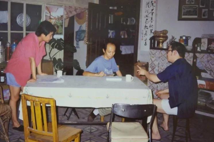 客厅实用盆栽植物有哪些,客厅一般放什么植物盆栽比较好