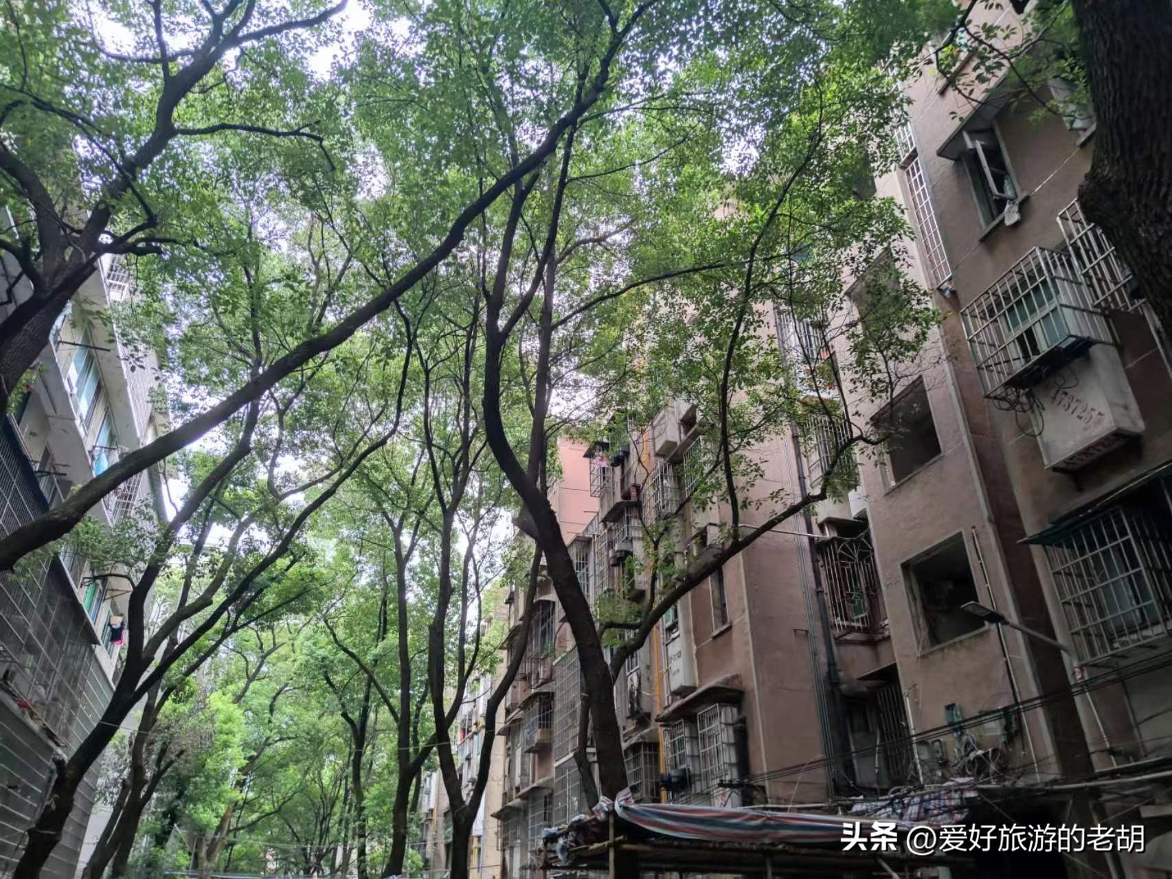 迁到长沙的国企,搬到长沙的企业