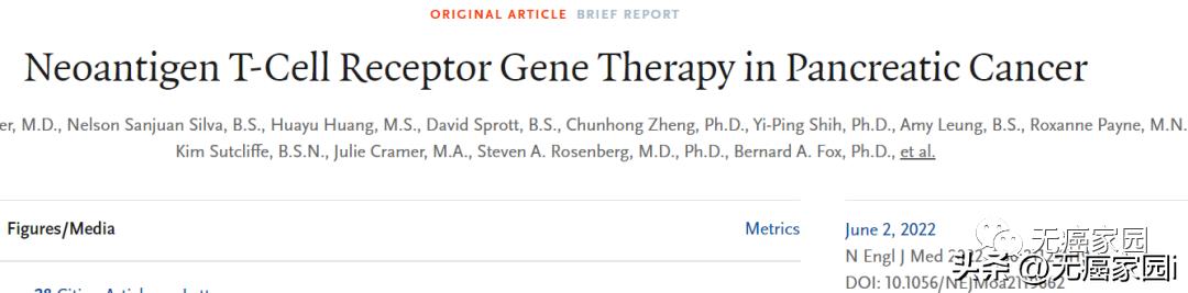 CAR-T、CAR-NK、癌症疫苗、TCR-T等细胞疗法，直击胰腺癌的软肋！