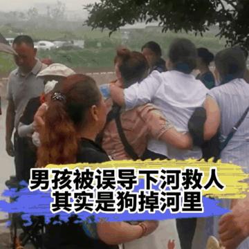 16岁少年被女下河救狗溺亡:狗一直是狗,人有时候却不是人