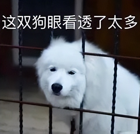 瘦双下巴的最快方法男人,怎么样可以瘦双下巴一天就见效