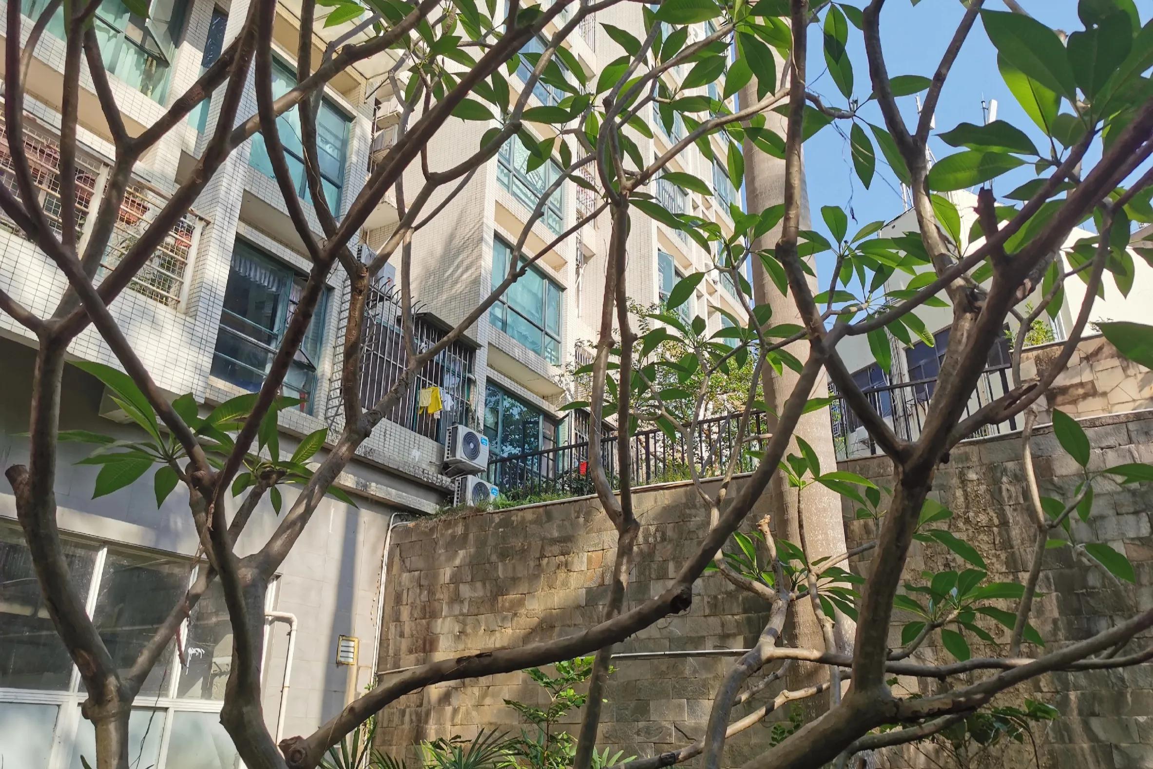 一位捅30年厕所的农民工：挣够500万，我就回老家农村种1亩田