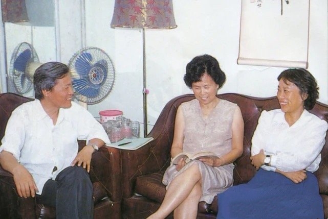 父母爱情电视剧片段全集免费央视,父母爱情电视剧45集全免费看