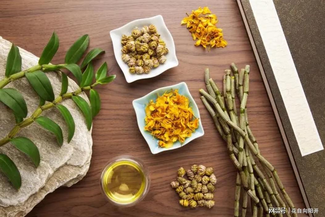 石斛的功效新鲜的石斛怎么吃,石斛的正确吃法介绍