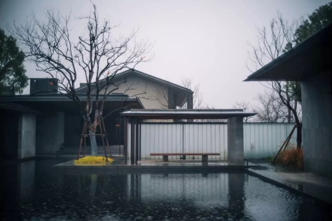 春天的潺潺溪水,春天的顶流