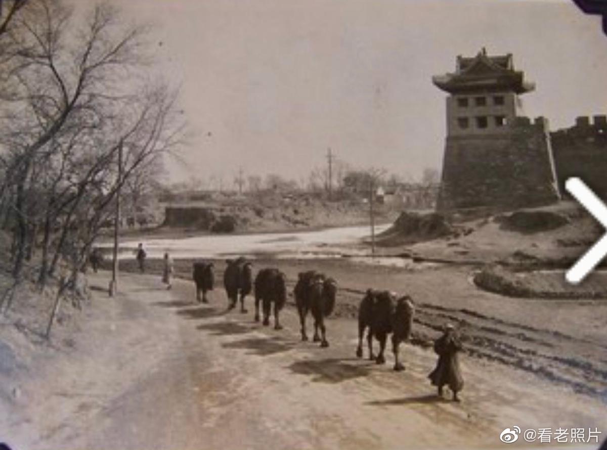 集中营惨状:30张老照片揭示妇女衣不遮体的悲惨命运!