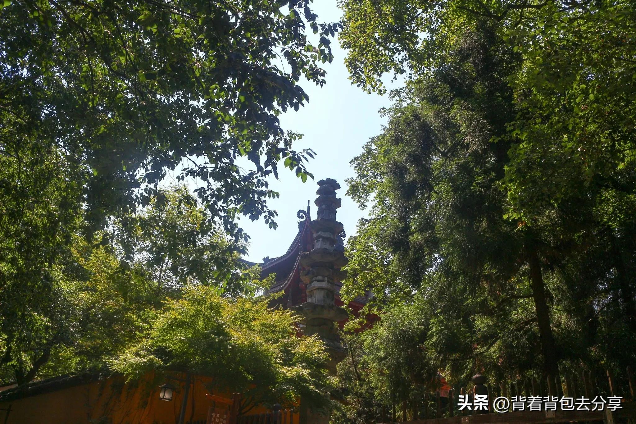 浙江十大免费旅游景点推荐,浙江免费旅游景点一览表