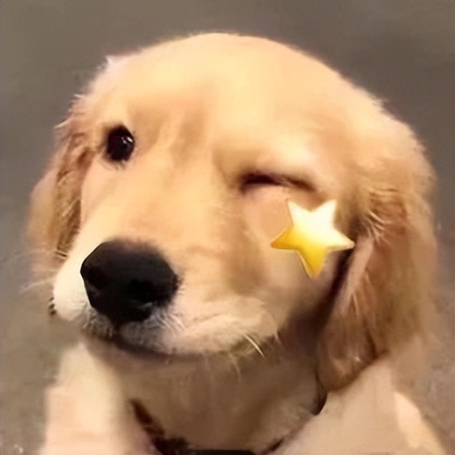 护肤品竟有这么多“王炸CP”,这几组我先磕为敬