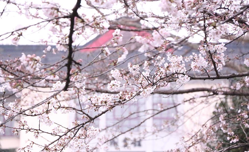 最全31省份2023高考分数线汇总,最新汇总20省份高考分数线公布