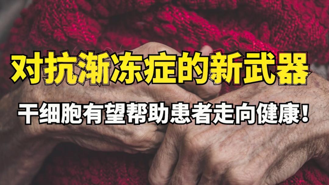 细胞科普小文章,细胞科普大全