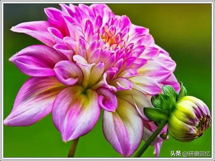 身忙心不忙,身忙而心闲