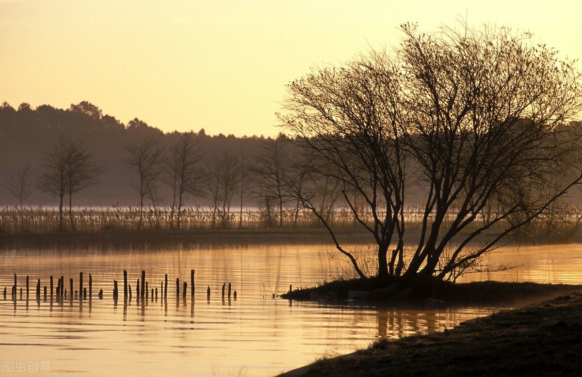 心烦意乱时怎么静心调整自己,如何让心静下来不胡思乱想