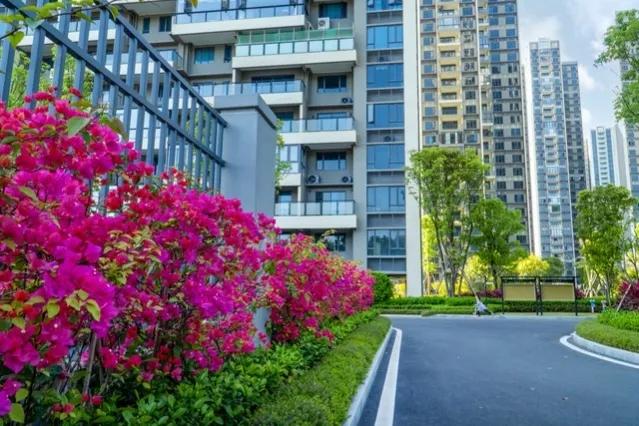 当年我顶班进供销社，弟弟妹妹不平衡，要把我4千退休金分走一半