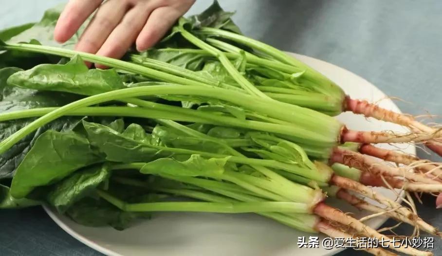 爱吃菠菜的好处,吃菠菜不能和什么同吃