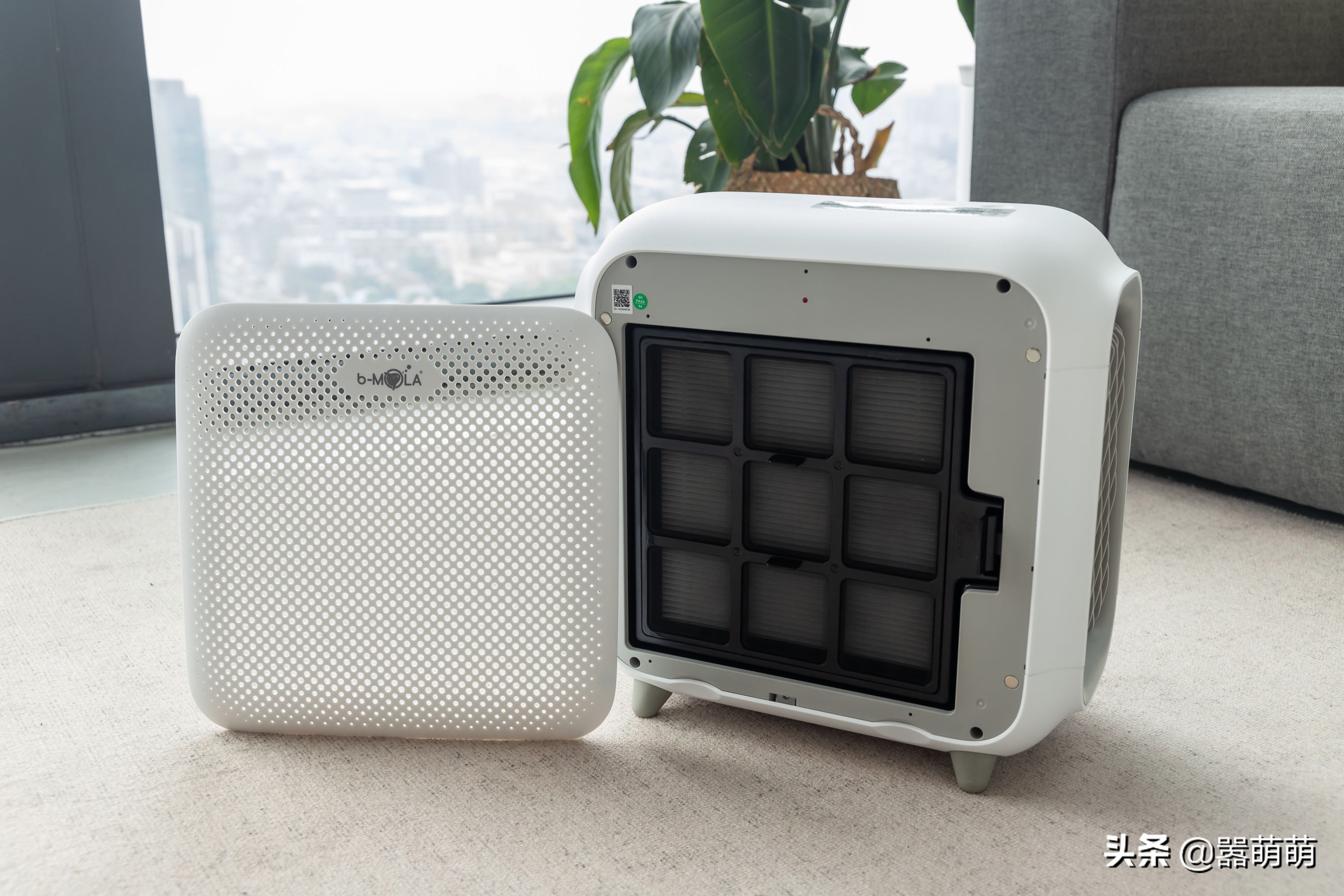 猫咪发癫乱叫,猫咪飙尿如何解决