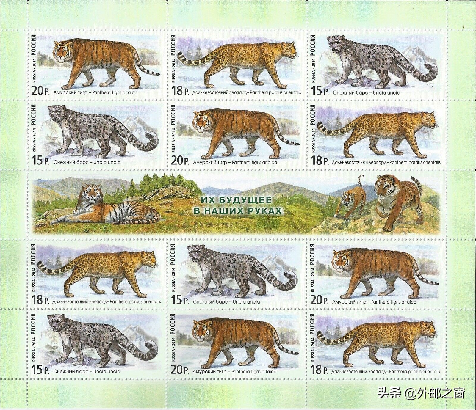 三俗邮票最新行情,三俗邮票火爆