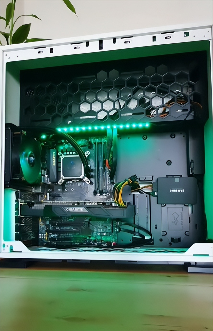 小哥为省钱在悉尼捡垃圾，年赚2万澳币，名包手机电脑随地捡？