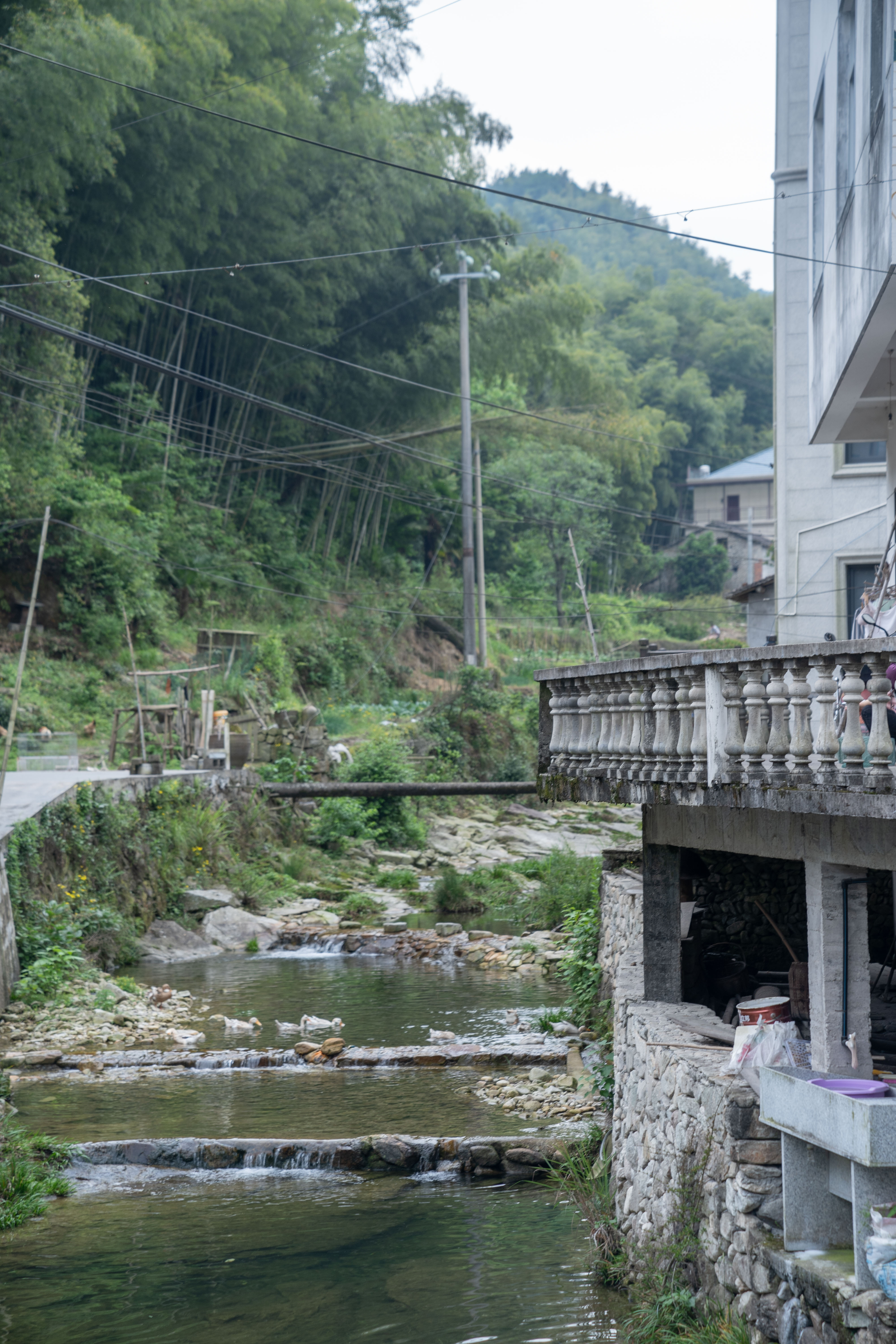 衢州哪里的鱼最好吃,衢州吃清水鱼最好的地方