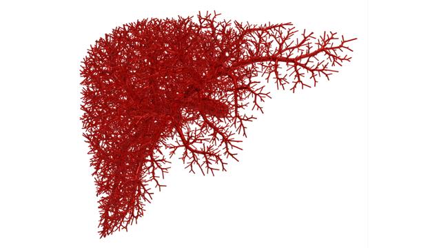 标度率本质,自然界基本守恒定律