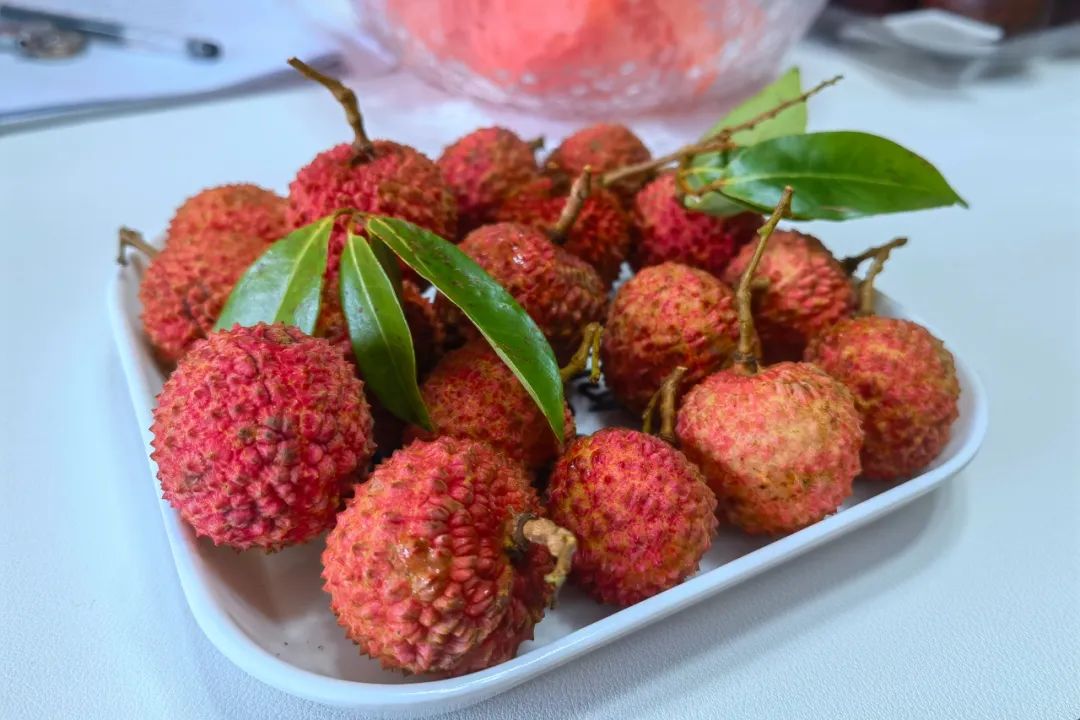 火了1000多年！古代“网红顶流”如今坐高铁飞入寻常百姓家！