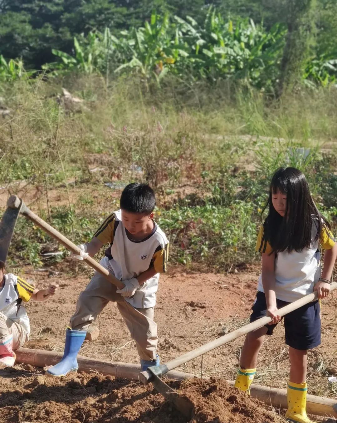 前方高能谁演的,前方高能校园歌手演唱瞬间