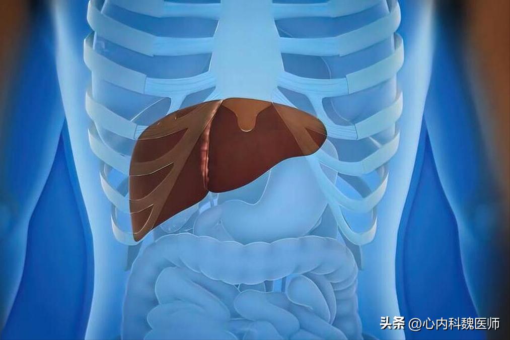 吃各种维生素对肝肾有伤害吗,维生素吃时间久了会造成肝损伤吗