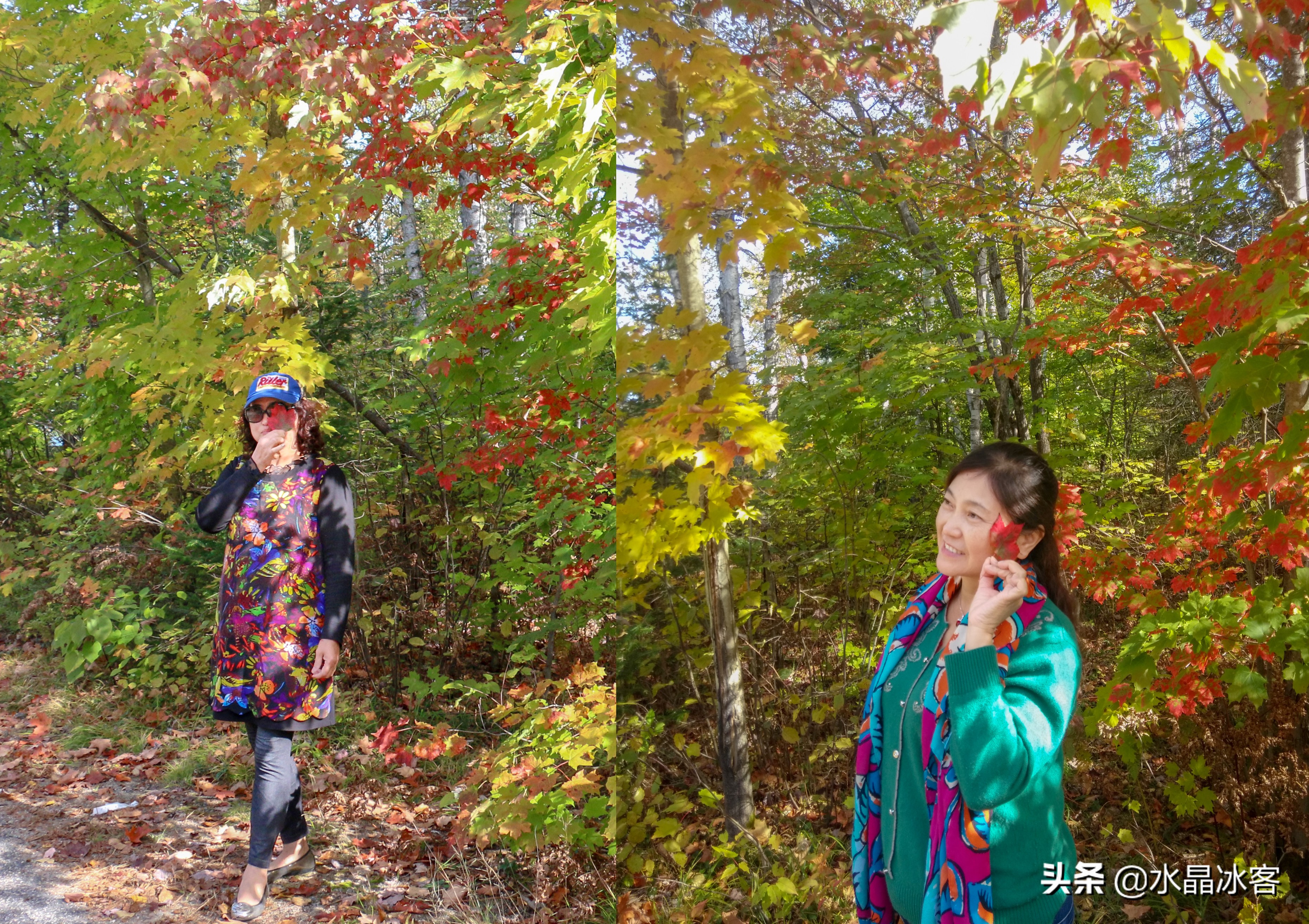 美东加东旅游,美东加东