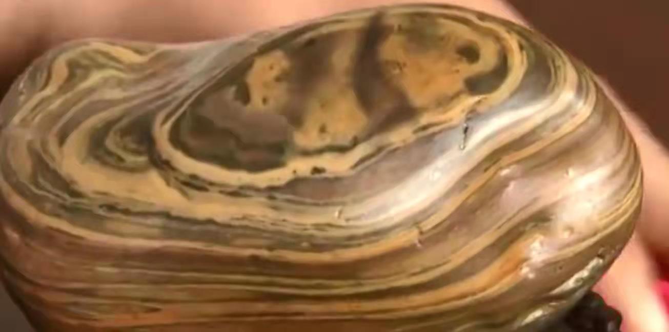 2017年男子捡一“熊猫奇石”,价值百万以上的熊猫奇石