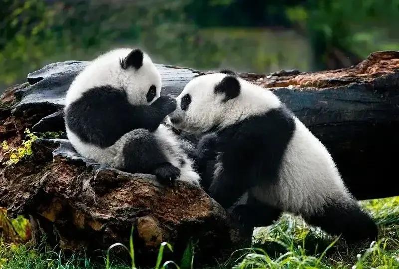 幽默爆笑笑话100个搞笑段子,幽默笑话搞笑段子100篇