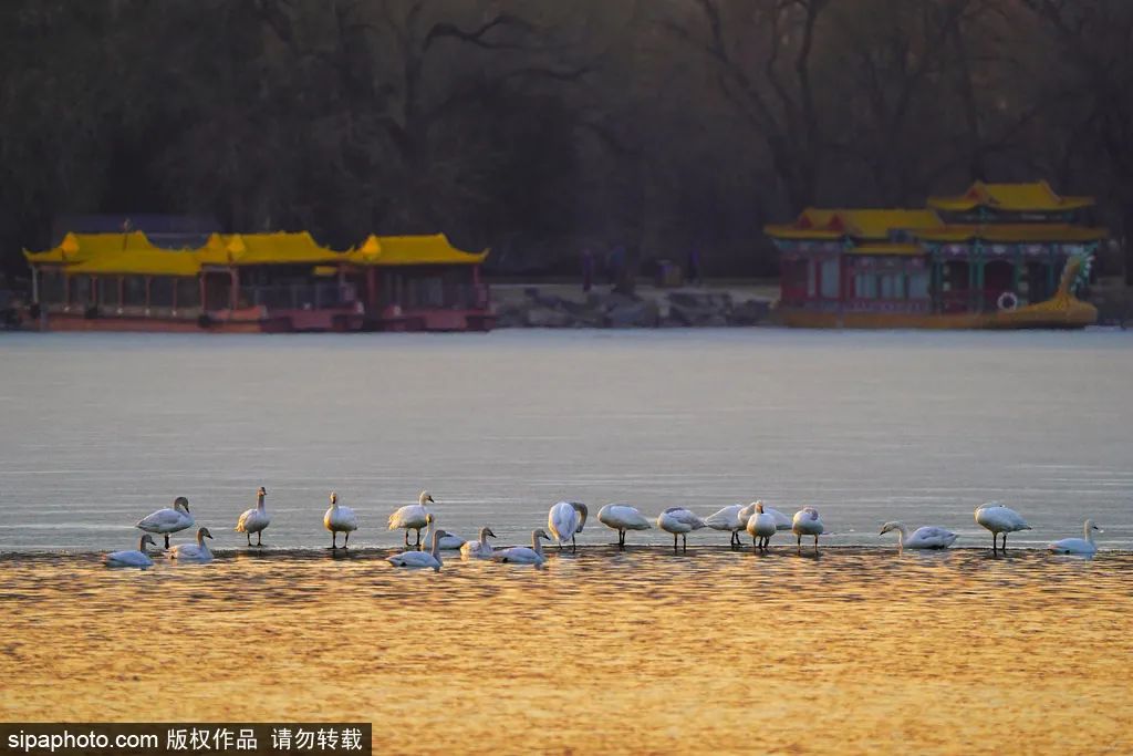冬天颐和园昆明湖全景,观赏颐和园昆明湖