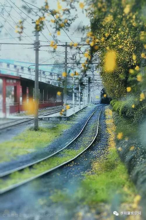 可以让来访者做聚焦吗？