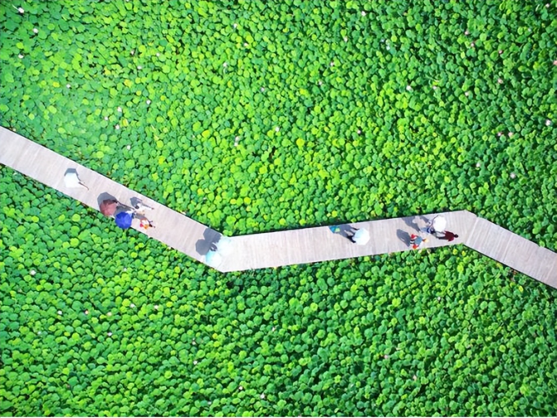 乡村旅游电商发展规划,乡村旅游互联网模式有哪些