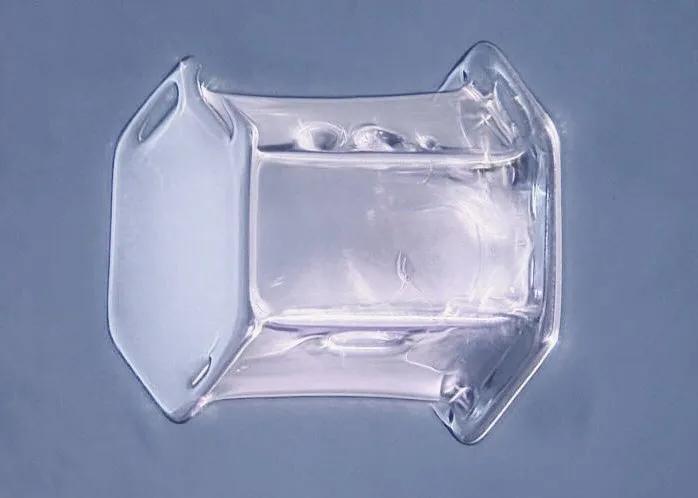 手指在显微镜下太恐怖了,显微镜下的恐怖世界蝎子