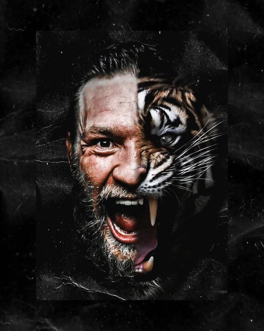 ufc综合格斗动态壁纸,ufc格斗拳套图片高清壁纸