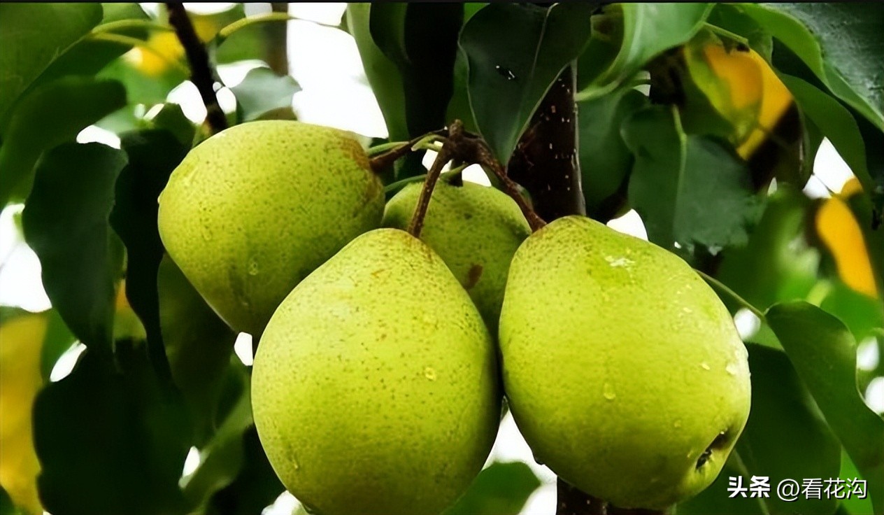 泌阳县1965年地图,河南泌阳县最新人口