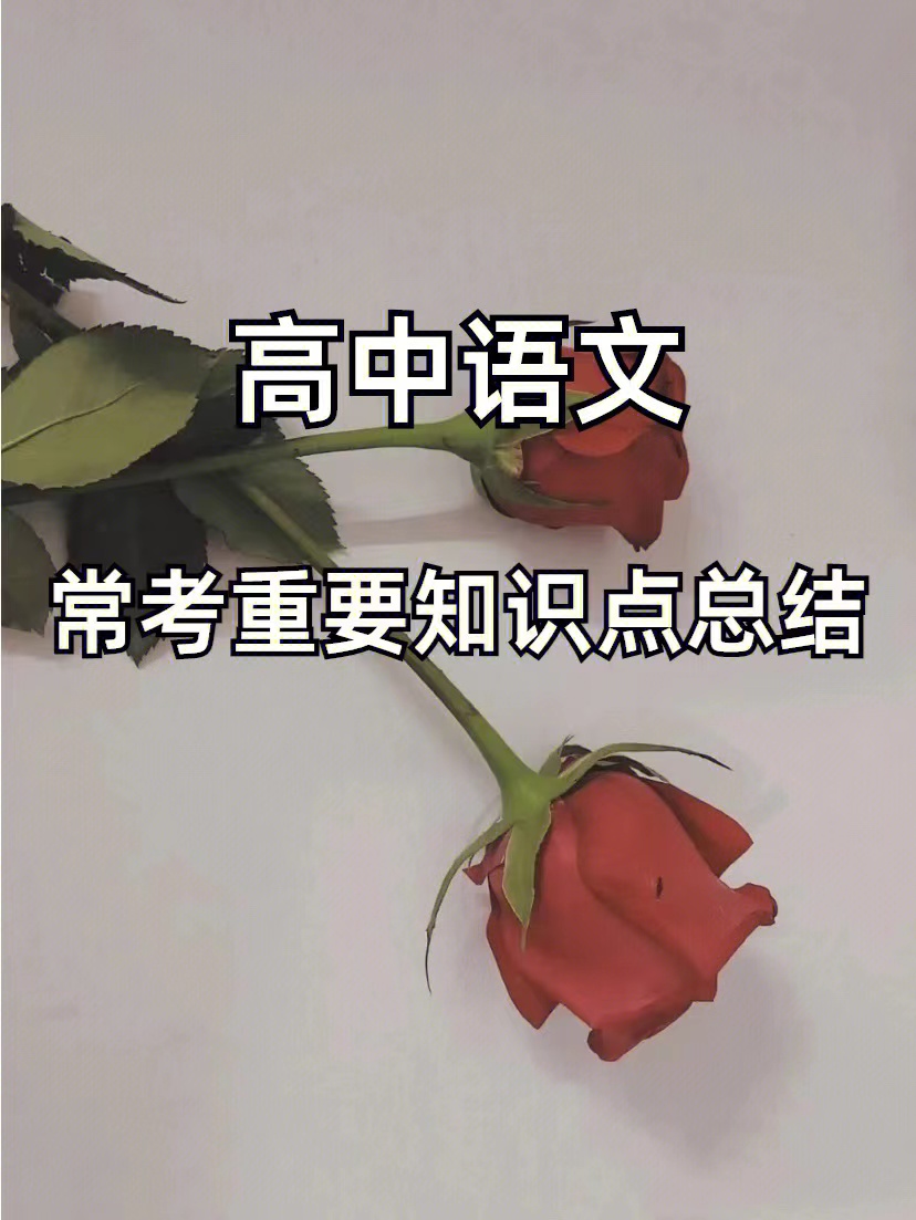 高中语文基础知识大全书推荐,高中语文必修几知识最全