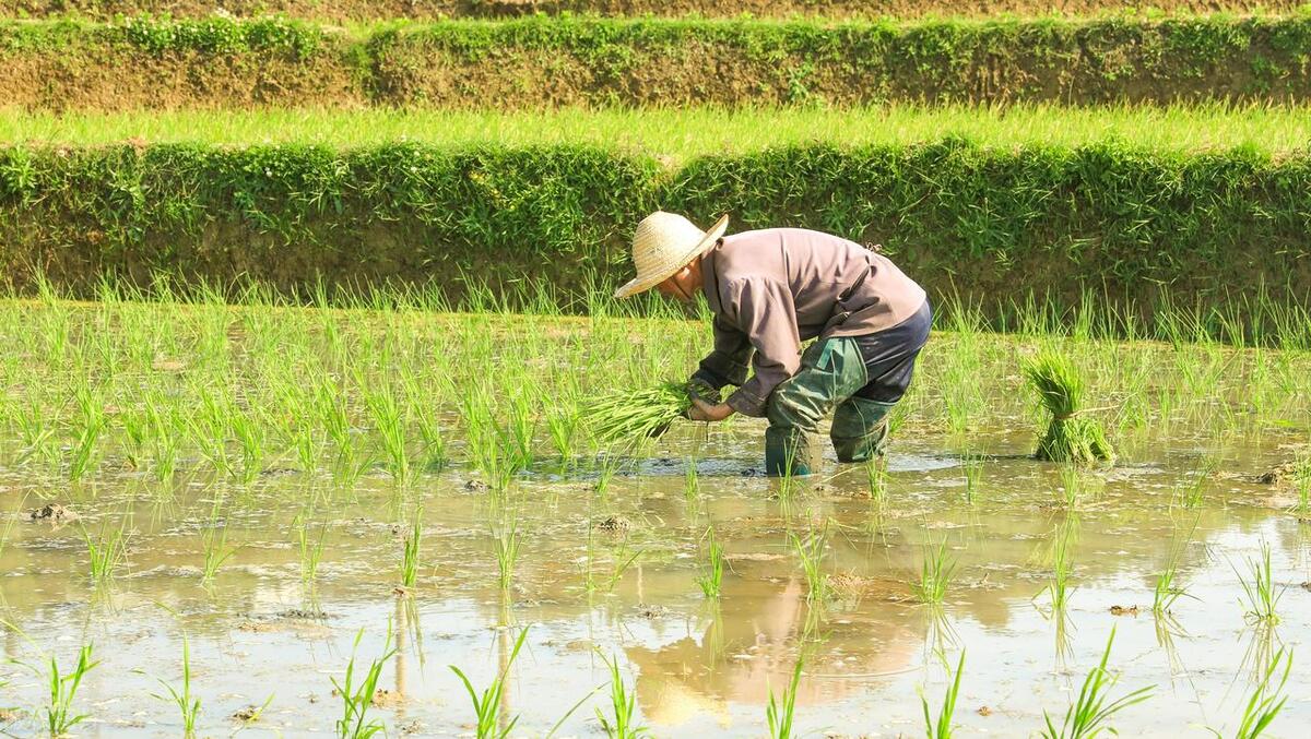 考试焦虑症最好的解决方法,考试祝福语