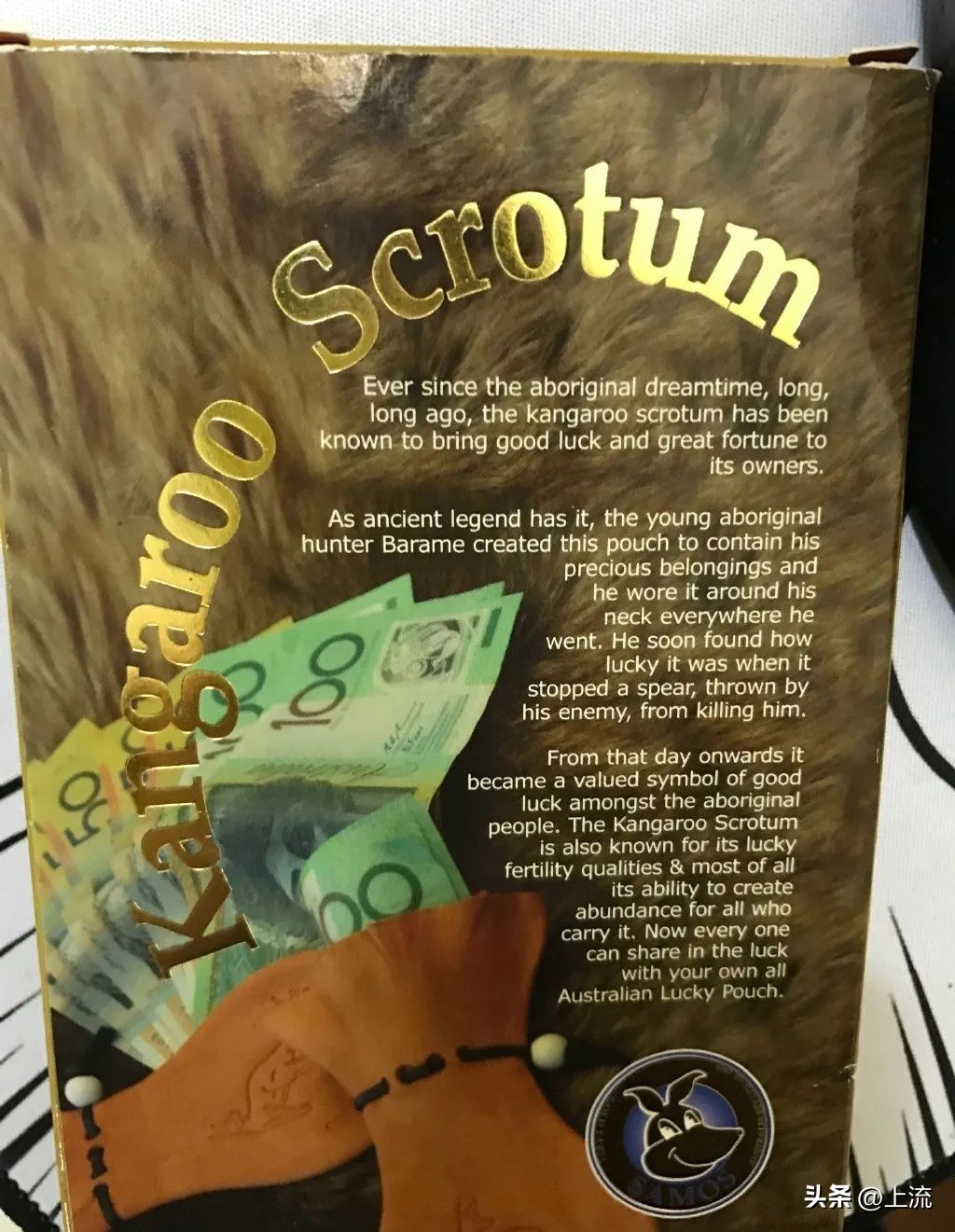 澳洲公袋鼠,袋鼠蛋蛋纪念品