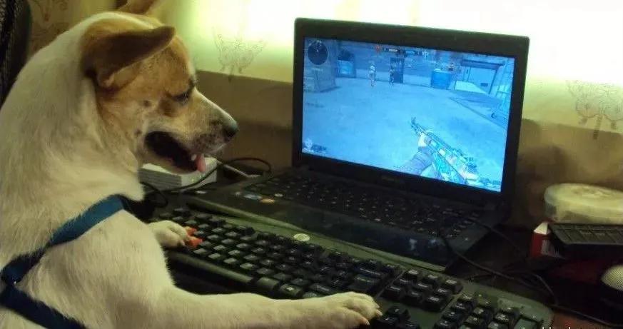 你还在用qq吗,女孩最有前途十大专业张雪峰