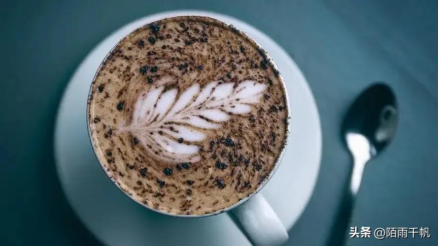 如何深入了解咖啡,年轻人对咖啡的看法和见解