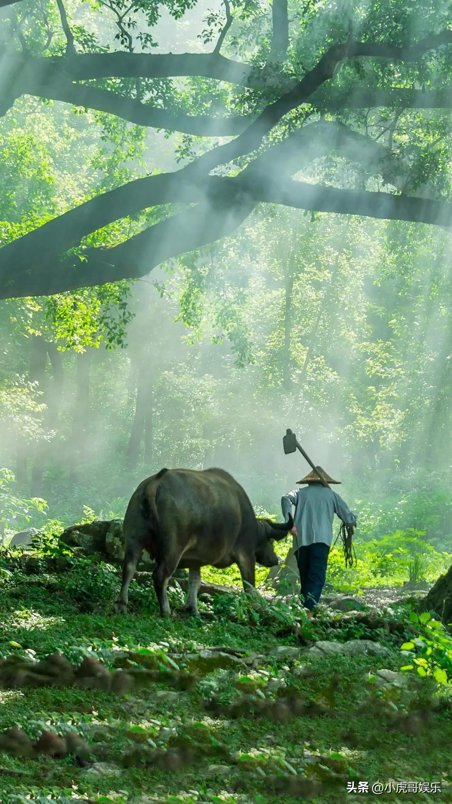 聪明的人的十种心态,聪慧的人不会被别人的眼光看透