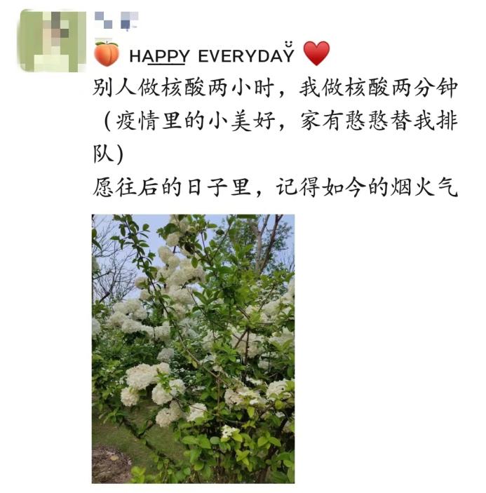 婚姻的本质说得太透彻了杨绛,关于爱情与婚姻说得太透彻了