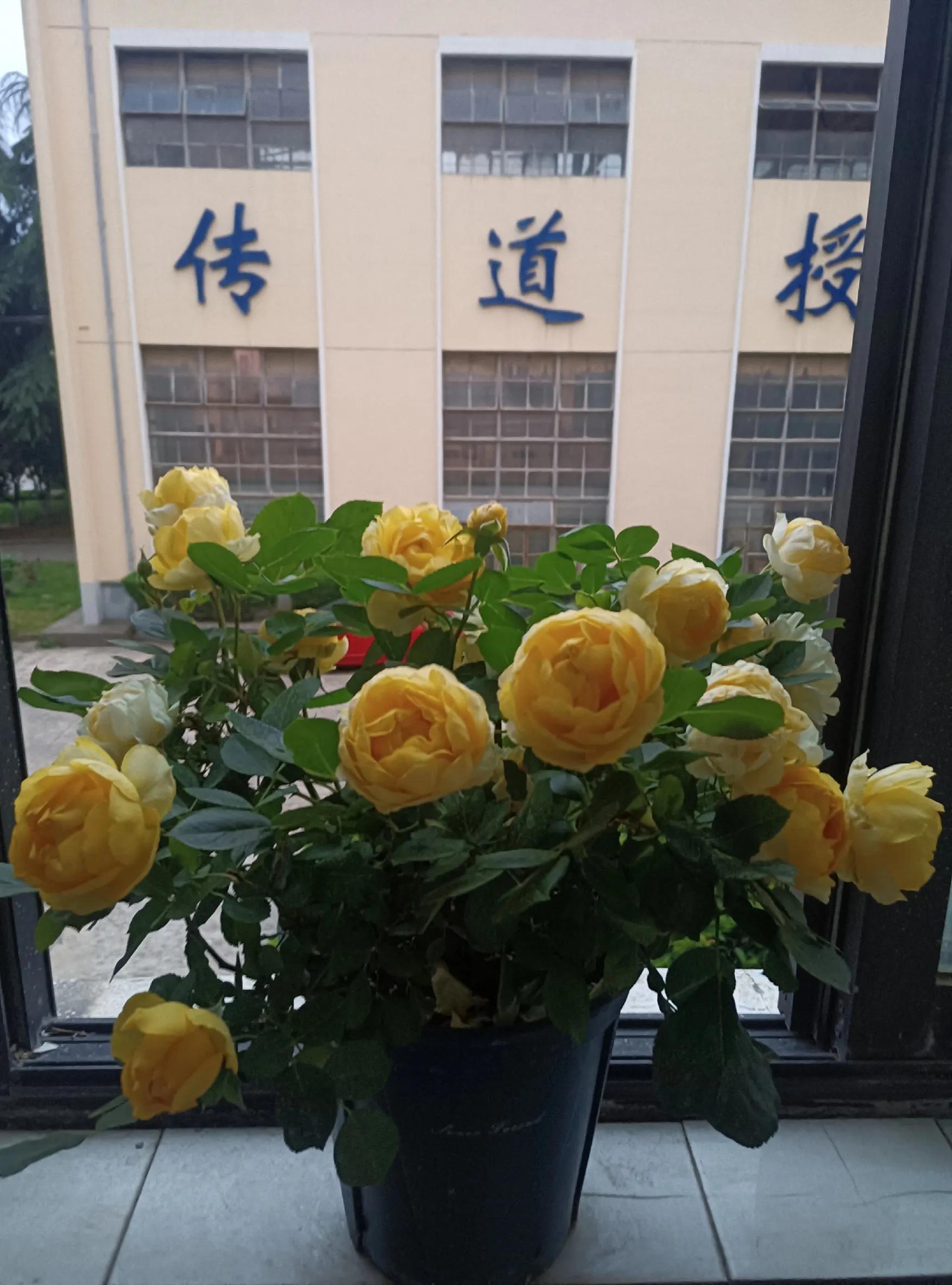 北京到南京的票买不到,北京到南京车票买不到吗