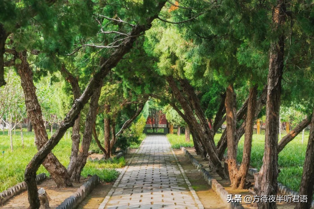 佛国胜境,正定千年古刹隆兴寺