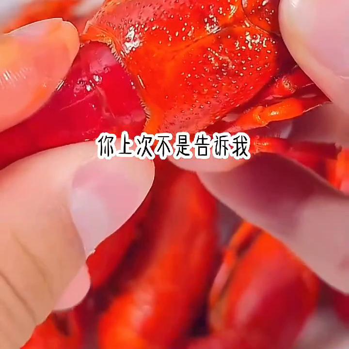 《珍惜来袭》#小说剧情