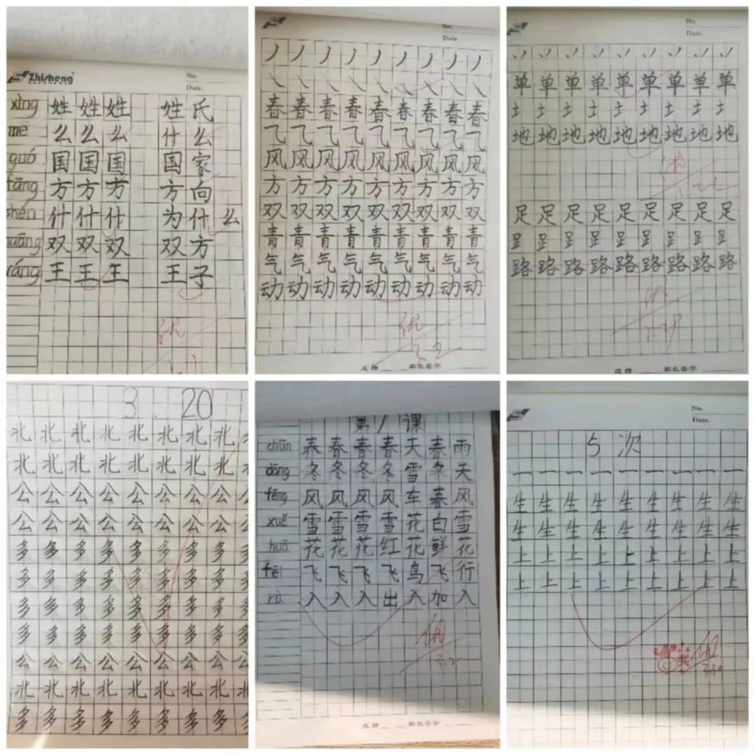 精耕务实切中肯綮,精耕务实