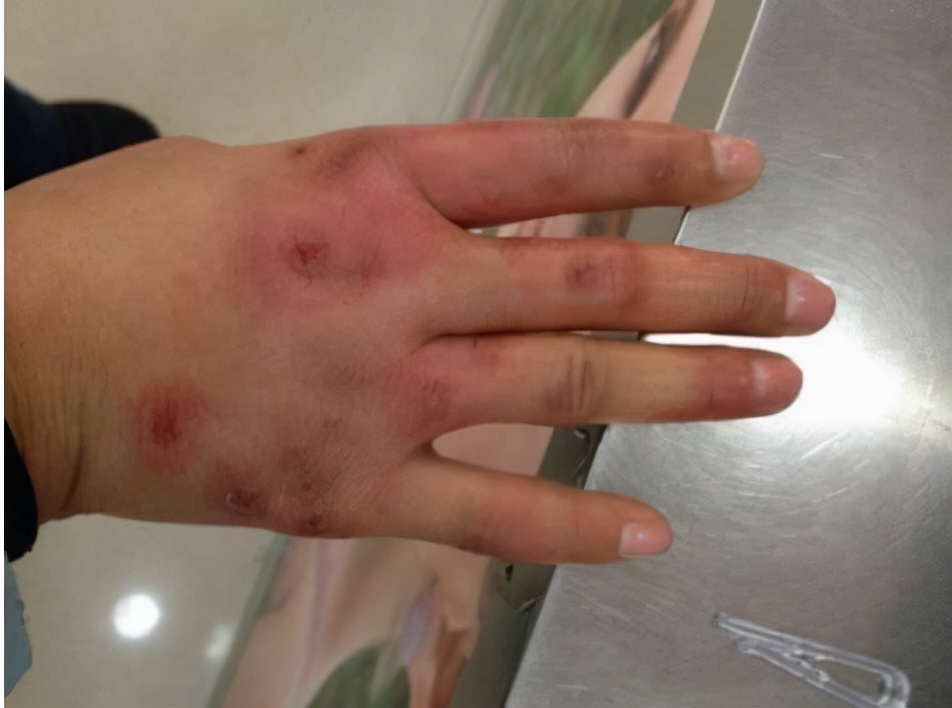 重庆小伙带领全村种生姜创业视频,农民返乡创业种生姜收益可观