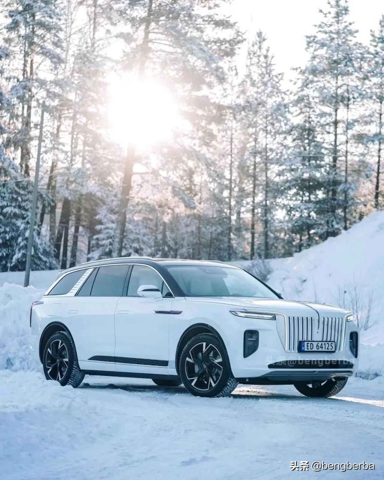 2022新款红旗e-hs9燃油版五座,红旗hs9出口多少钱