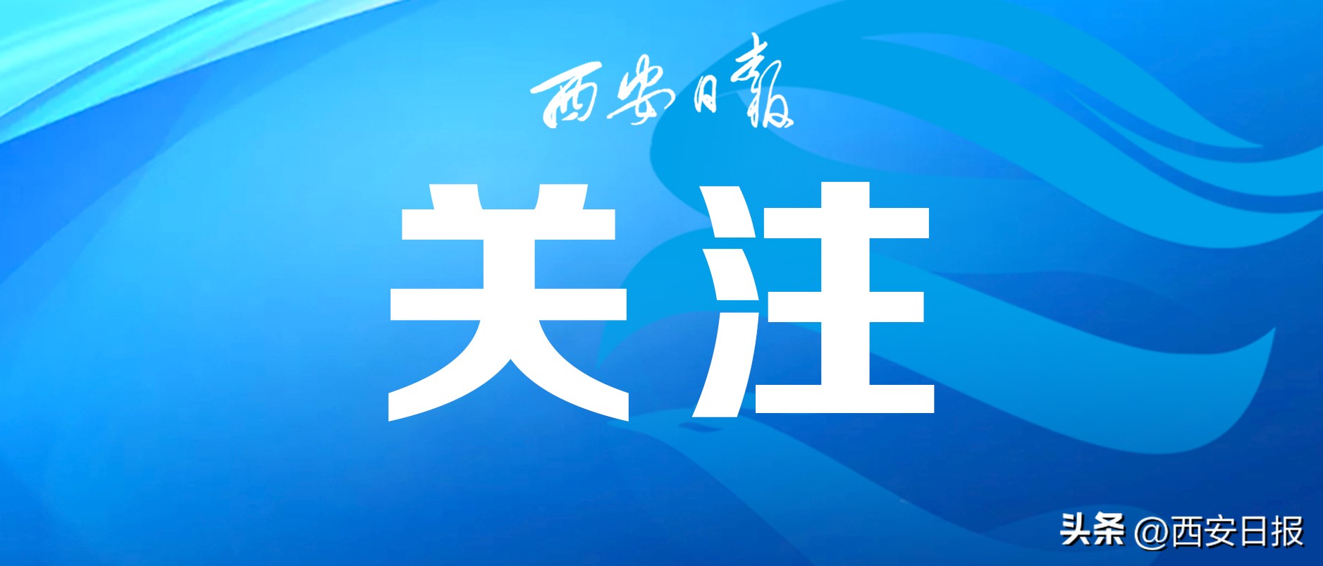 国足新帅扬科维奇媒体见面会,国足新帅扬科维奇历史战绩