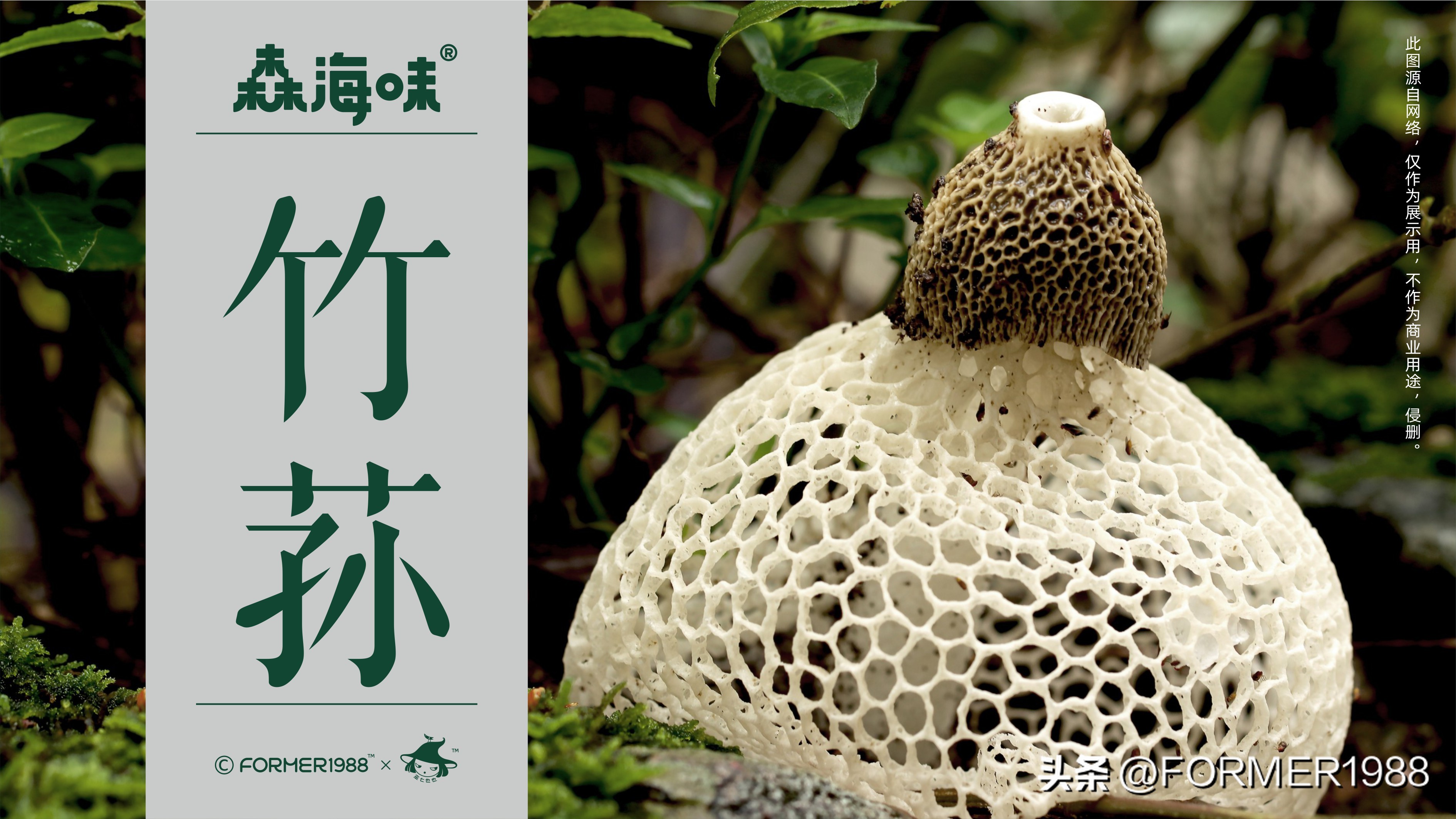 竹荪品牌设计,竹荪包装工厂